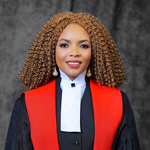 3rd Annual Sankofa Lecture in Honour of Black History Month 3rd Annual Sankofa Lecture in Honour of Black History Month